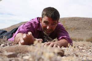 Original 2495 px/ 1663 px