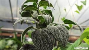 Original 1920 px/ 1080 px