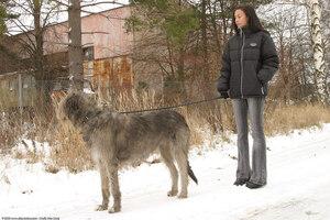 Original 1536 px/ 1024 px