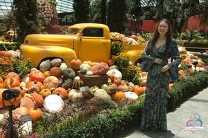 Original 3000 px/ 2000 px