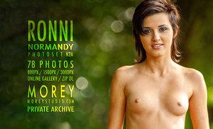 Original 3000 px/ 1823 px