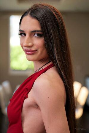 Original 854 px/ 1280 px