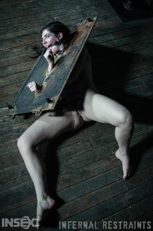 Original 795 px/ 1200 px