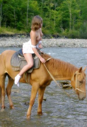 Original 1372 px/ 2000 px