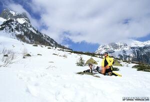 Original 1195 px/ 811 px