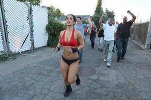 Original 2495 px/ 1663 px