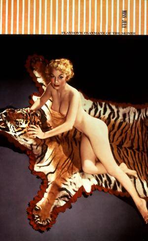 Original 2695 px/ 4410 px