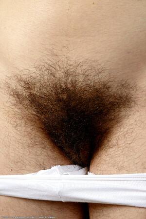 Original 684 px/ 1024 px