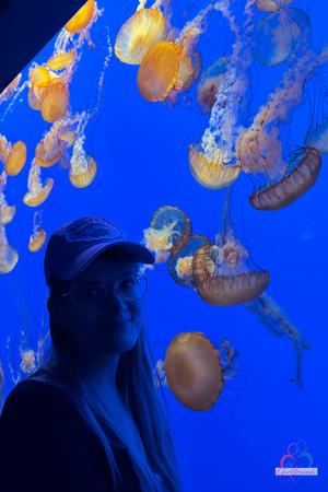 Original 2000 px/ 3000 px