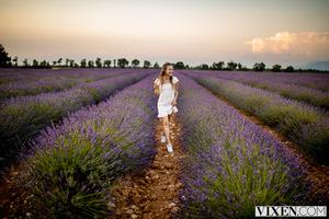 Original 3000 px/ 2000 px