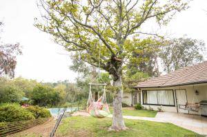 Original 2499 px/ 1663 px