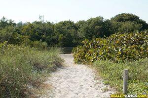 Original 1782 px/ 1188 px