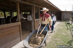 Original 800 px/ 533 px