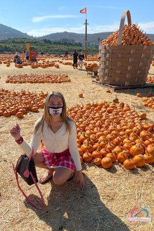 Original 2000 px/ 3000 px