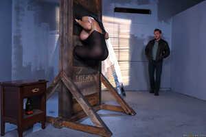 Original 2491 px/ 1663 px