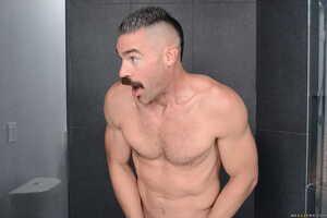 Original 2492 px/ 1663 px