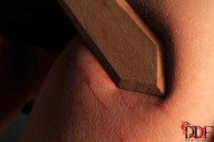 Original 2000 px/ 1331 px