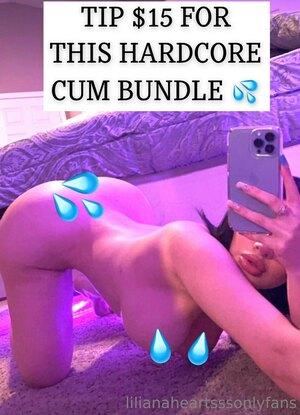 Original 1206 px/ 1670 px