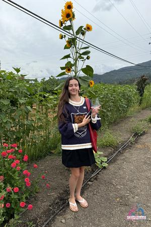 Original 2000 px/ 3000 px