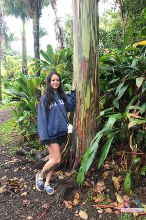 Original 2000 px/ 3000 px