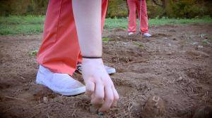 Original 1200 px/ 675 px