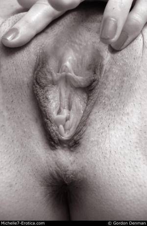 Original 1000 px/ 1536 px