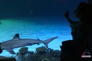 Original 3000 px/ 2000 px