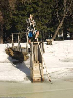 Original 1200 px/ 1600 px