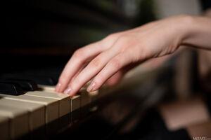 Original 6012 px/ 4000 px