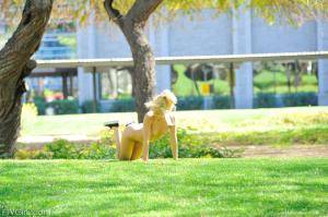 Original 1600 px/ 1064 px