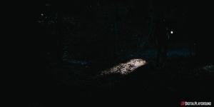 Original 2160 px/ 1080 px