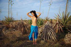 Original 4324 px/ 2883 px