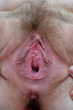 Original 1063 px/ 1600 px