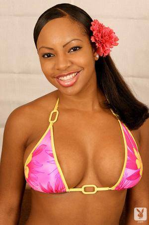 Original 531 px/ 800 px