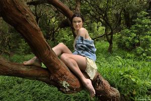 Original 4000 px/ 2667 px