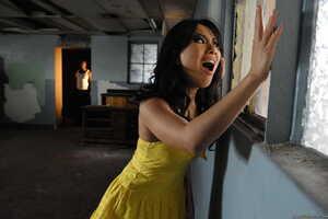 Original 2499 px/ 1663 px