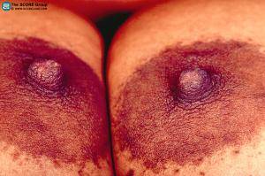 Original 1024 px/ 680 px