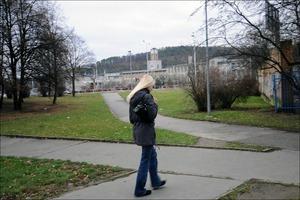 Original 1200 px/ 798 px