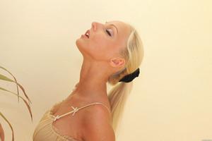 Original 2500 px/ 1667 px