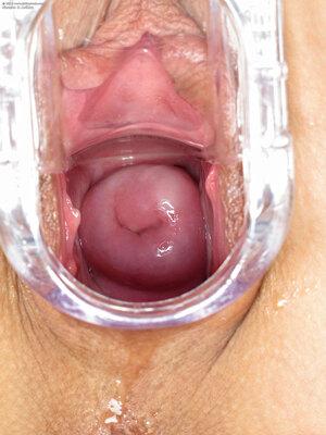 Original 1800 px/ 2400 px