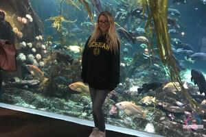 Original 3000 px/ 2000 px