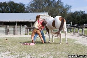 Original 800 px/ 533 px