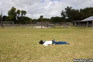 Original 800 px/ 533 px