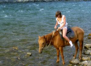 Original 2000 px/ 1445 px