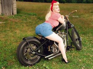 Original 960 px/ 713 px