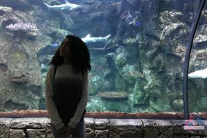 Original 3000 px/ 2000 px