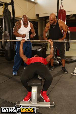 Original 1333 px/ 2000 px