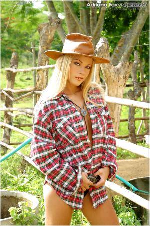 Original 800 px/ 1200 px