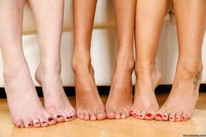 Original 2495 px/ 1663 px