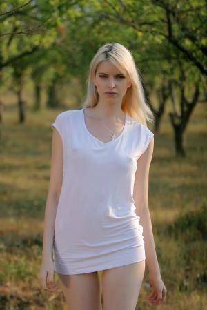 Original 2336 px/ 3504 px